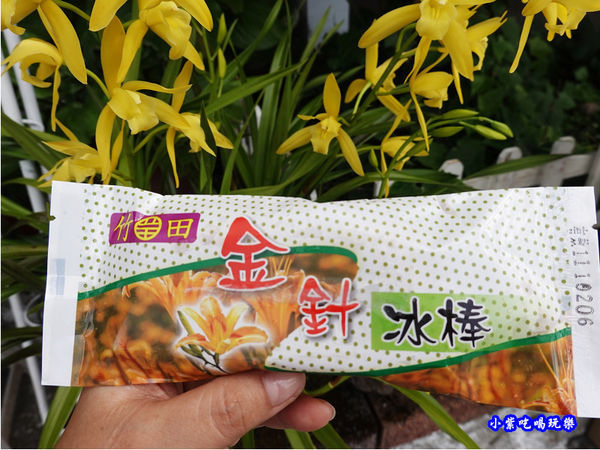 金針冰棒-黎明農園 (1).jpg