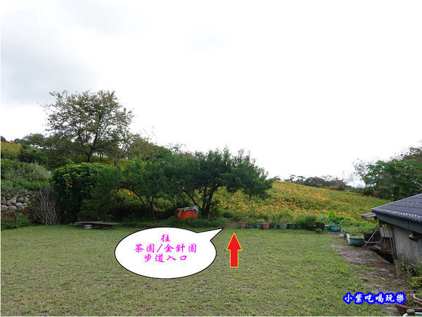 赤科山-黎明農園 (32).jpg