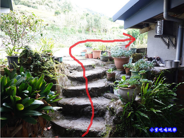 赤科山-黎明農園 (31).jpg