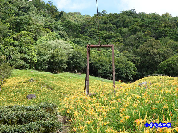 赤科山-黎明農園 (40).jpg