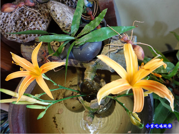 赤科山-黎明農園 (25).jpg