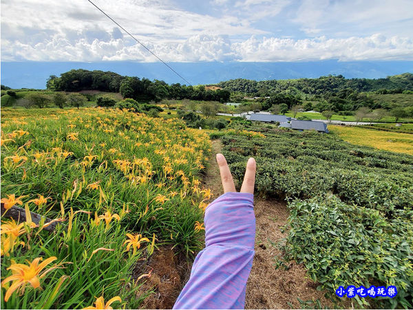 赤科山-黎明農園 (6).jpg
