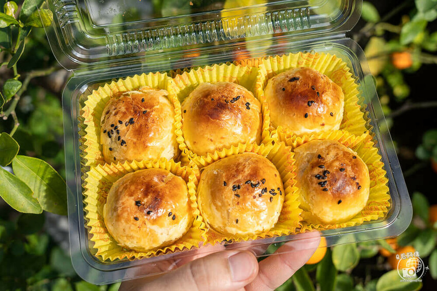 彰化縣彰化市不二坊蛋黃酥 | 彰化必買人氣美食伴手禮,蛋黃酥今年不漲價!每顆50元~