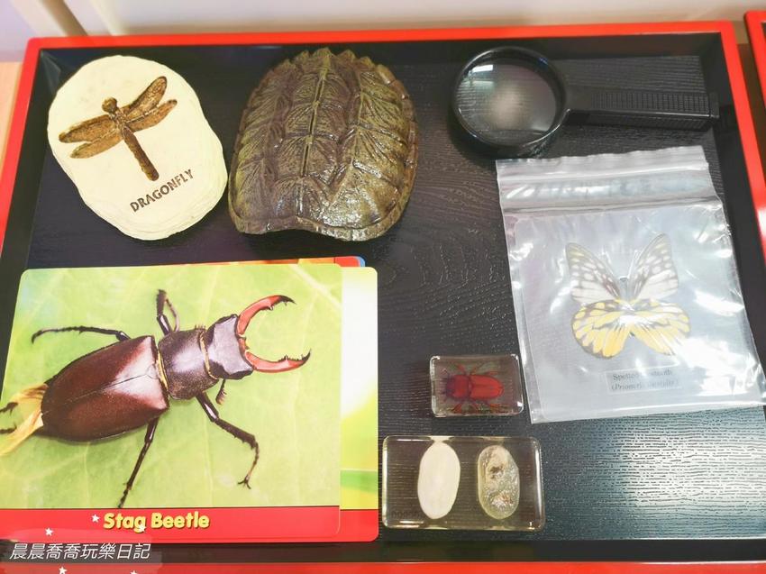 宜蘭親子館/頭城親子館 宜蘭親子館/頭城親子館