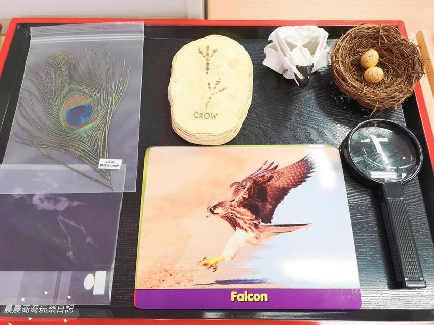 宜蘭親子館/頭城親子館 宜蘭親子館/頭城親子館