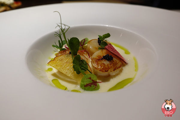 好米亞餐酒館-27-BIBO小妞妞.JPG