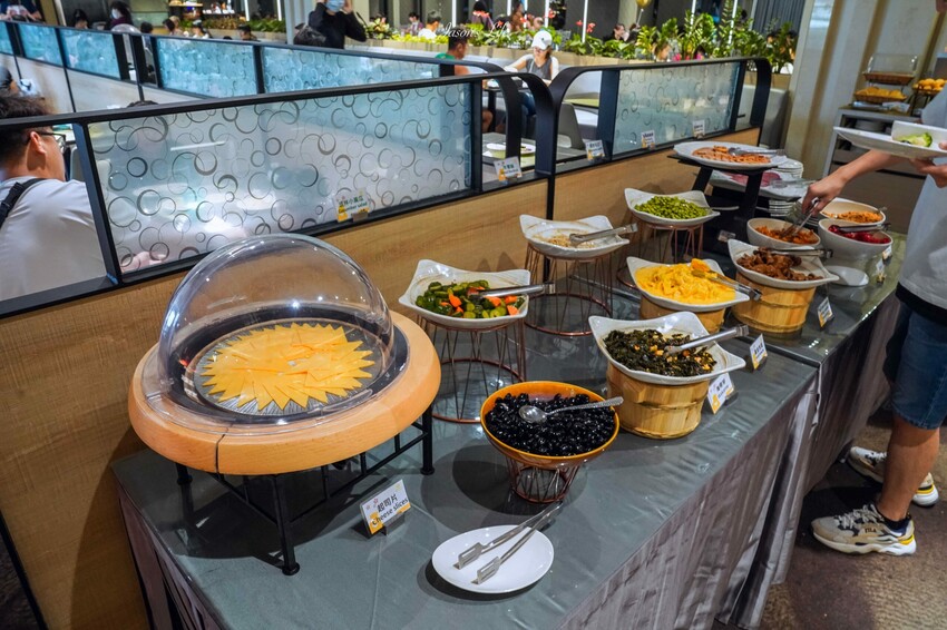 【嘉義西區｜住宿】新悦花園酒店。嘉義親子飯店推薦，寵物友善設有寵物旅館，多種親子設施，早餐有火雞肉飯