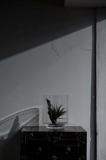 [春，雲林] 調養的溫度，歷久彌新 - 保生堂漢方咖啡館