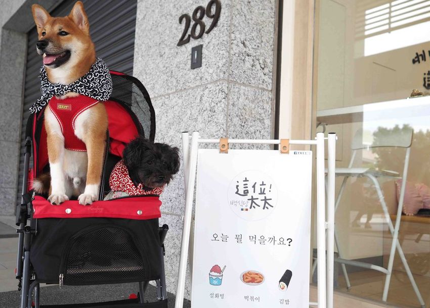 這位太太青埔美食桃園高鐵韓式料理雪花冰寵物友善XPARK10.jpg 這位太太青埔美食桃園高鐵韓式料理雪花冰寵物友善XPARK10.jpg