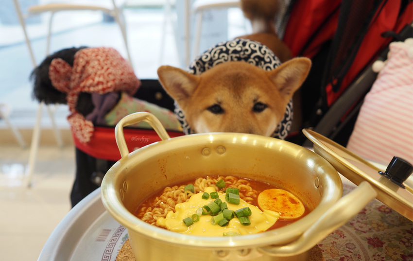 這位太太青埔美食桃園高鐵韓式料理年糕寵物友善XPARK4.jpg 這位太太青埔美食桃園高鐵韓式料理年糕寵物友善XPARK4.jpg