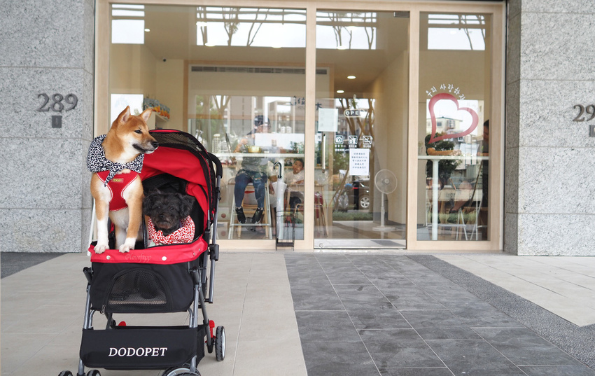 這位太太青埔美食桃園高鐵韓式料理雪花冰寵物友善XPARK9-1.jpg 這位太太青埔美食桃園高鐵韓式料理雪花冰寵物友善XPARK9-1.jpg