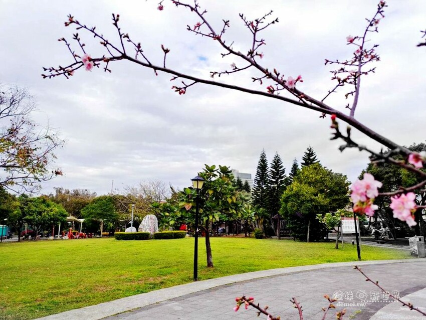 桃園市中壢區【理性&感性cafe】超萌療癒立體拉花&加價可指定圖案│咖哩飯/咖啡/甜點/下午茶 - 德妹看新世界