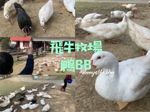 林酒店LV百匯餐廳 ｜龍蝦生蠔牛排吃到飽。台中美食推薦 - 丹尼的吃喝玩樂