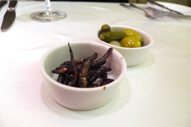 January 17, 2011  Sabatini Cucina 深庭義式餐廳