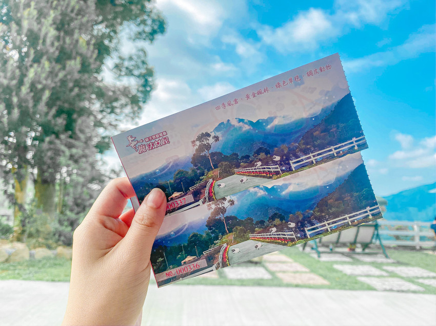 金針花季秘境|新竹景觀餐廳。新竹景點尖石山中 魔法女巫餐廳