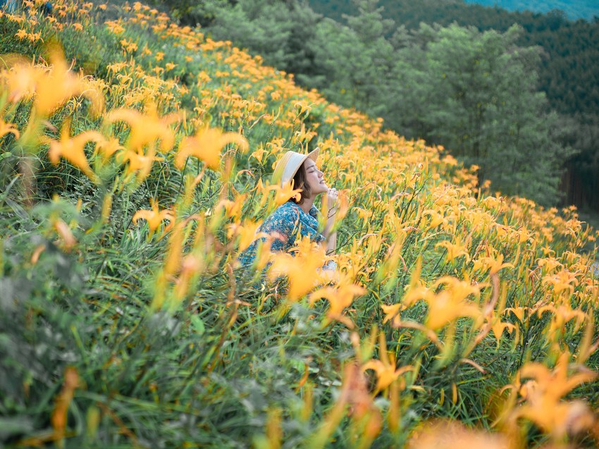 金針花季秘境|新竹景觀餐廳。新竹景點尖石山中 魔法女巫餐廳