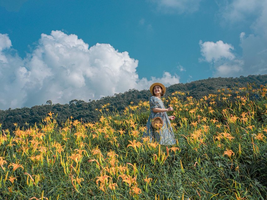 金針花季秘境|新竹景觀餐廳。新竹景點尖石山中 魔法女巫餐廳