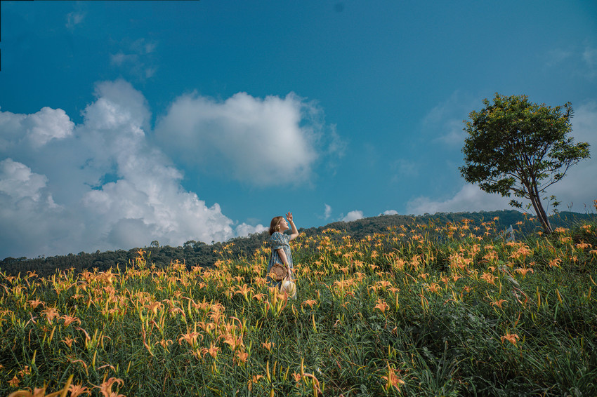 金針花季秘境|新竹景觀餐廳。新竹景點尖石山中 魔法女巫餐廳