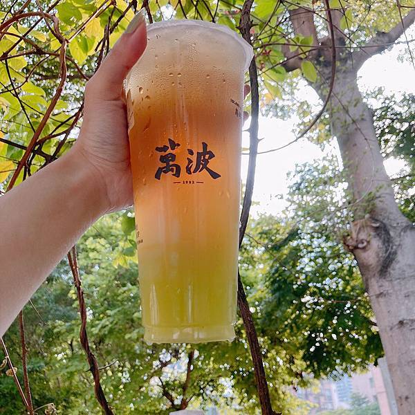 新北 土城 海山 裕民路 飲料 萬波 楊枝甘露 荔枝 10.JPG