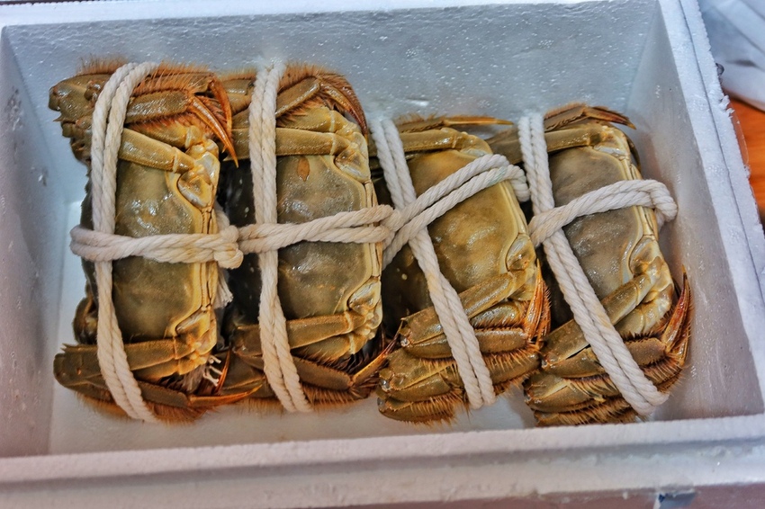 彰化縣美食推薦就是愛海鮮 宅配海鮮 秋天品蟹 就是愛海鮮 爆膏大閘蟹超美味 21嚴選台灣aa級大閘蟹 活蟹宅配到家 大閘蟹吃法 文末有專屬折扣 Walkerland Taipeiwalker Japanwalker Walkerland