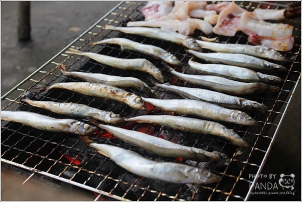 就是愛海鮮 (37)