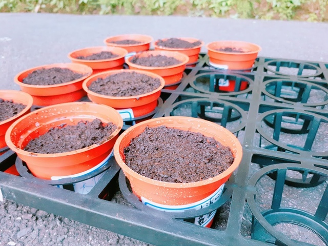 2017-09-23-16-36-54.jpg - 平溪天燈媒人進站