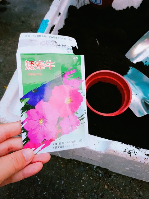 2017-09-23-16-34-20.jpg - 平溪天燈媒人進站