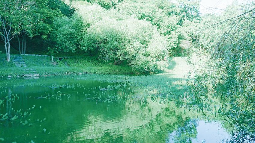 在城市中找到屬於我的日常風景