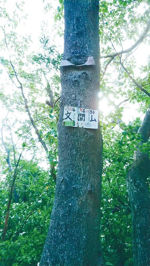 在城市中找到屬於我的日常風景