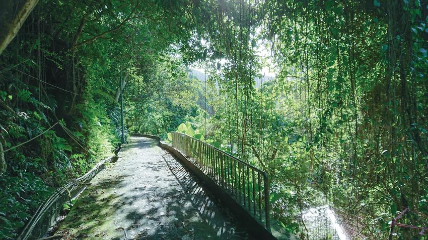 在城市中找到屬於我的日常風景