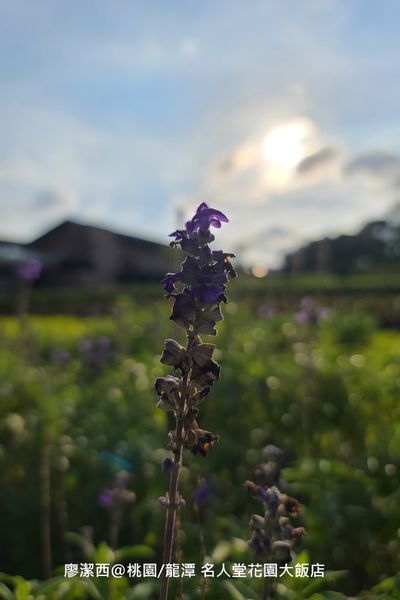 【桃園/龍潭】Fame Hall Garden Hotel名人堂花園大飯店
