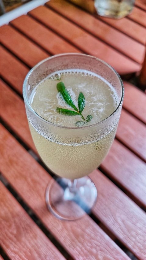 桃園中壢美食-小溪道Creek-老街溪旁夢幻露天酒吧,秋夜品酒述涼意 @民宿女王芽月-美食.旅遊.全台趴趴走