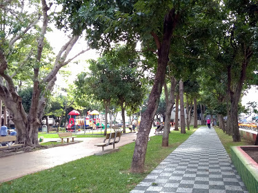 內壢景點[自強公園] 功能性佳又便民