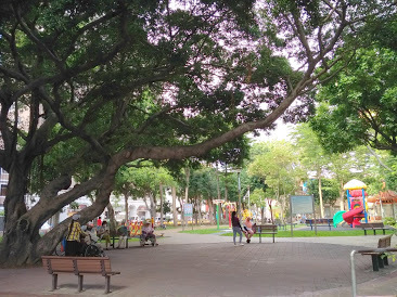 內壢景點[自強公園] 功能性佳又便民