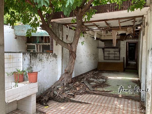 清水眷村_200917_37