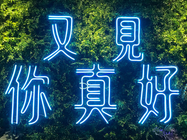 （新莊）新開幕優惠！台中人氣茶飲插旗雙北　超華麗青花瓷奶蓋藍柑橘冰沙美到像藝術品－青釉茶事 新莊店