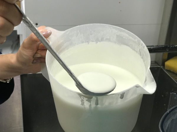 （新莊）新開幕優惠！台中人氣茶飲插旗雙北　超華麗青花瓷奶蓋藍柑橘冰沙美到像藝術品－青釉茶事 新莊店