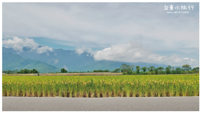 池上伯朗大道-10