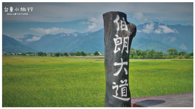 池上伯朗大道-3