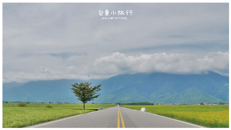 池上伯朗大道-11