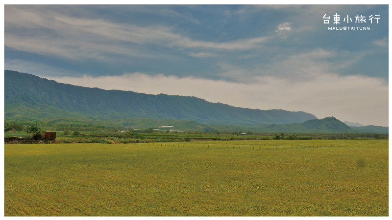 池上伯朗大道-12