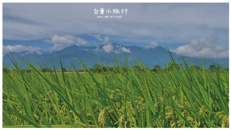 池上伯朗大道-5