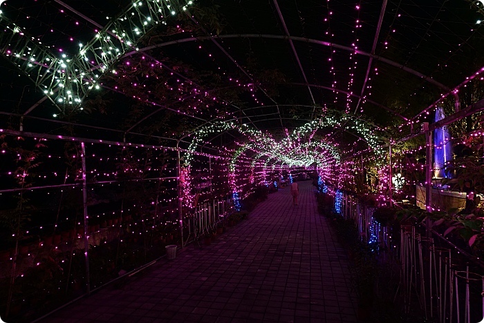 鳳梨屋水上莊園⎮豪華露營露墅Villa。免搭帳直接入住,瀑布鞦韆、鳯梨戲水池,沁涼泉水超過癮,晚上還有夜間高空煙火秀,星空電影院! @捲捲頭 Wonderful 品味。生活 鳳梨屋水上莊園⎮豪華露營露墅Villa。免搭帳直接入住,瀑布鞦韆、鳯梨戲水池,沁涼泉水超過癮,晚上還有夜間高空煙火秀,星空電影院! @捲捲頭 Wonderful 品味。生活