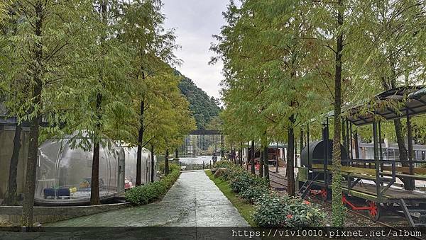 IMG_20211128_100006.jpg IMG_20211128_100006.jpg