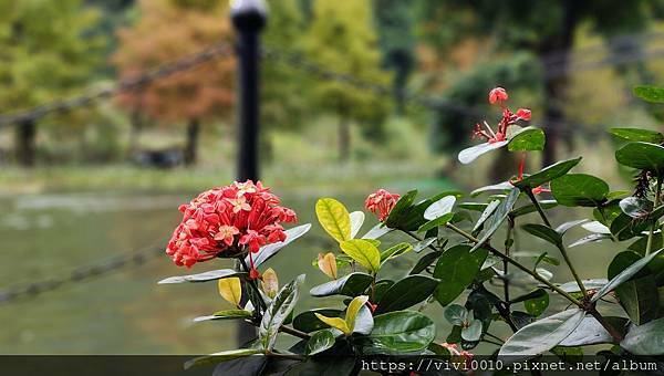 IMG_20211128_101157.jpg IMG_20211128_101157.jpg