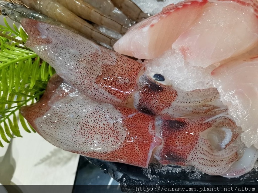 IMG_20210130_190643.jpg IMG_20210130_190643.jpg