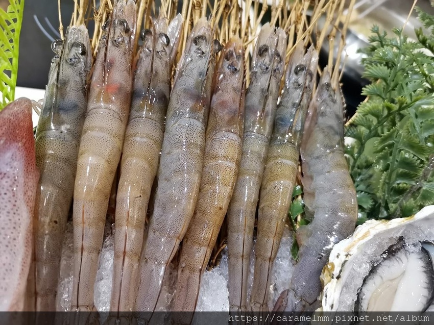 IMG_20210130_190706.jpg IMG_20210130_190706.jpg