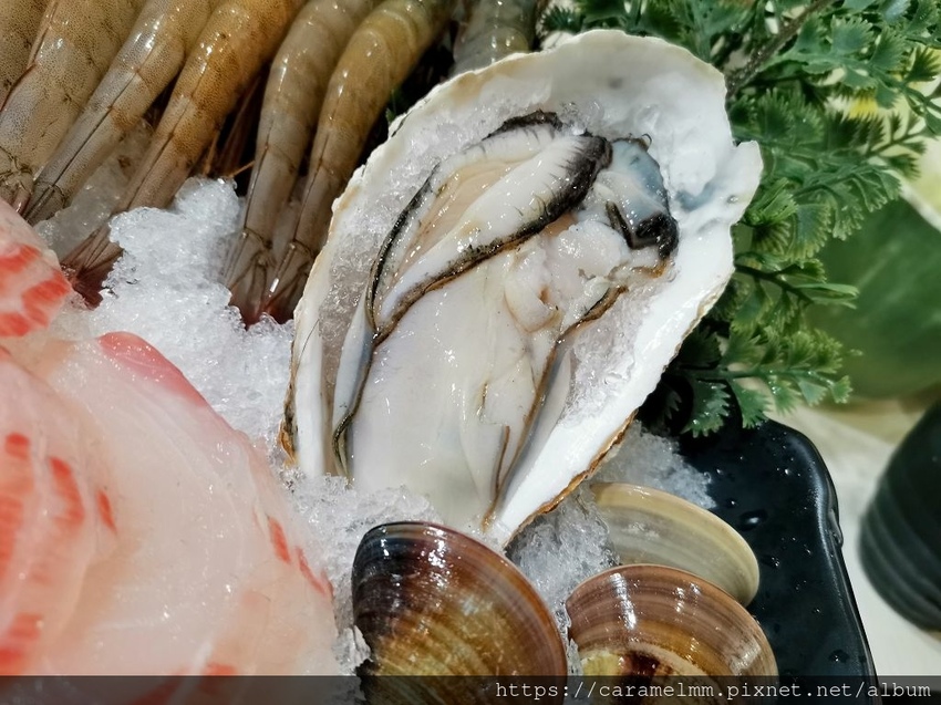 IMG_20210130_190714.jpg IMG_20210130_190714.jpg