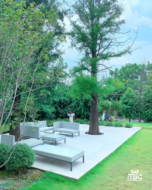 台中景觀餐廳|BACiTALi 小義大利威尼斯宮|網美風IG打卡