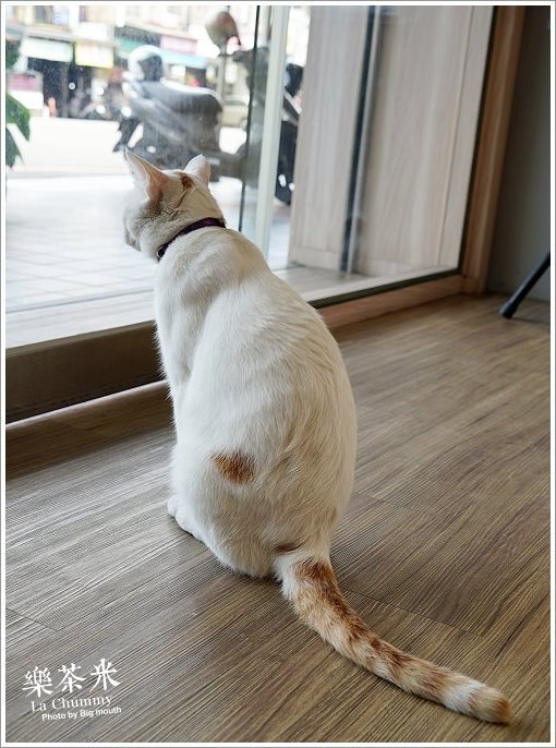 【彰化茶飲】樂茶米．現泡台灣茶主題飲品，扇形車庫美食推薦!